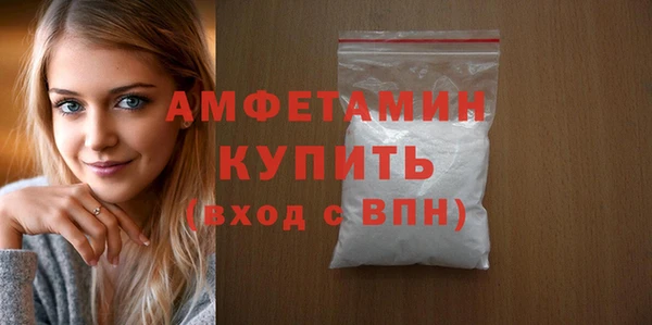 шишки Бородино