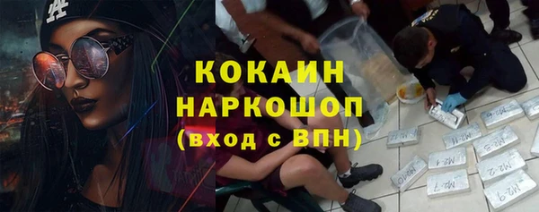 шишки Бородино