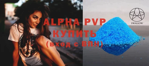 шишки Бородино