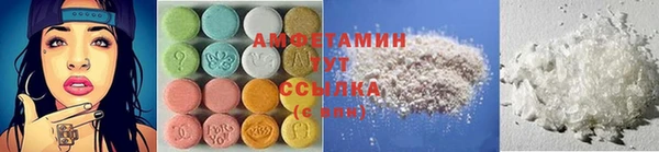 шишки Бородино