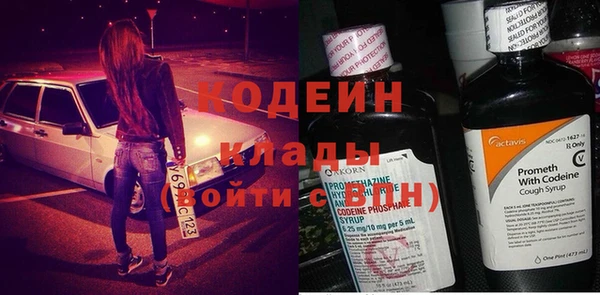 шишки Бородино