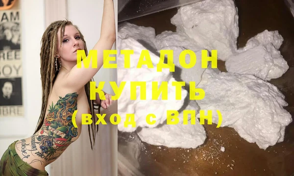 шишки Бородино