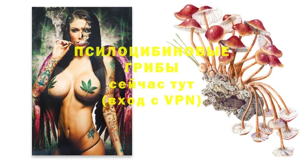 mdpv Бугульма