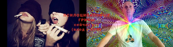 шишки Бородино