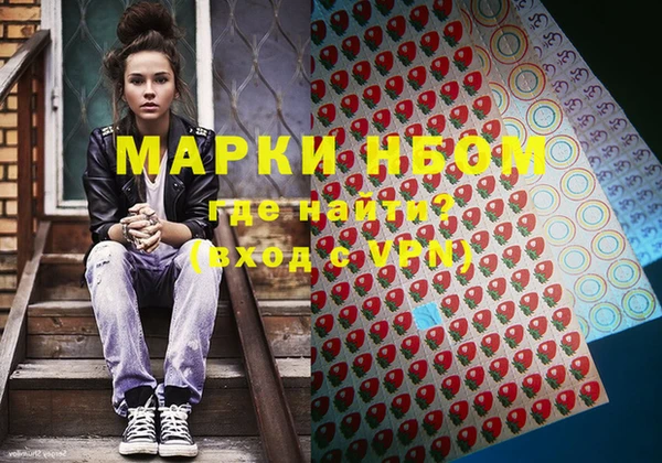 шишки Бородино