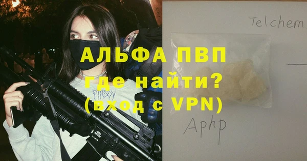 шишки Бородино